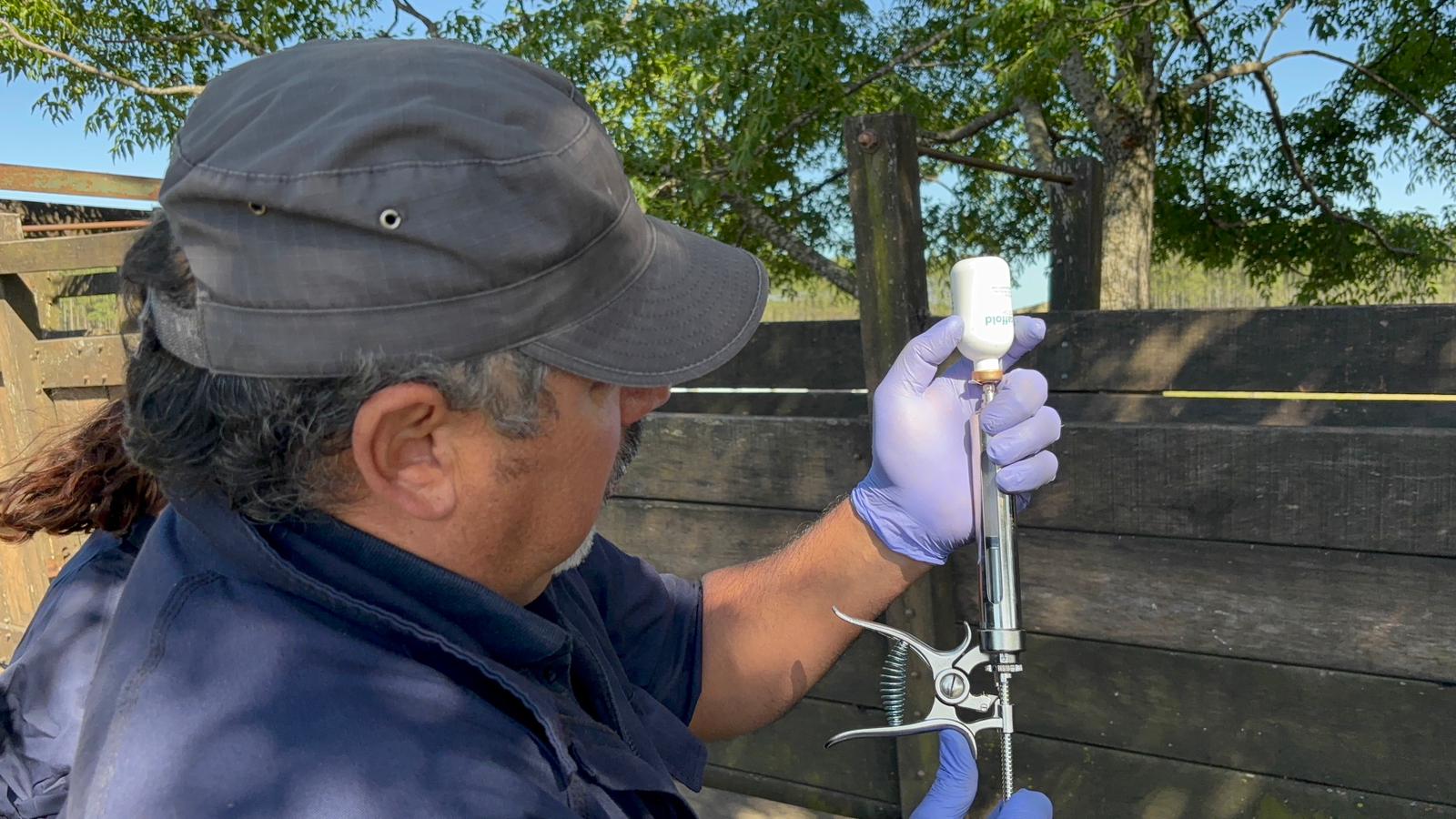 Vacunación Scaffold Biotech (3)