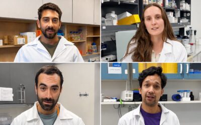 Creativity and innovation: young startup founders share their perspective on research